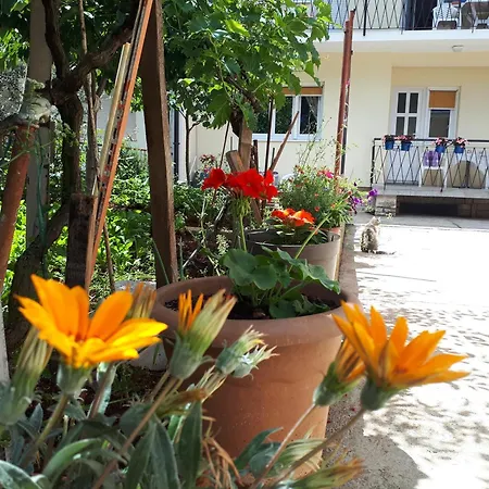 Apartment Marija 2 Zadar